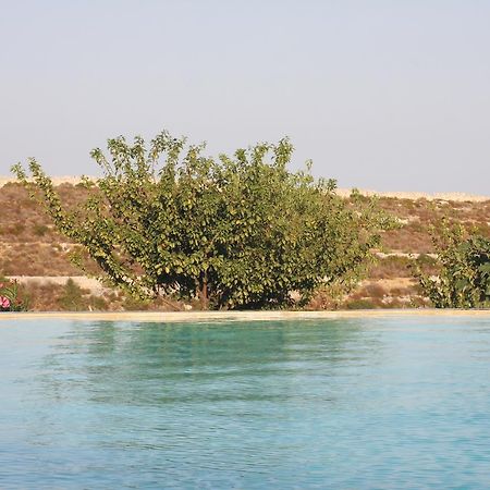 فيلا Testa dellʼAcquaفي Agriturismo Leone المظهر الخارجي الصورة