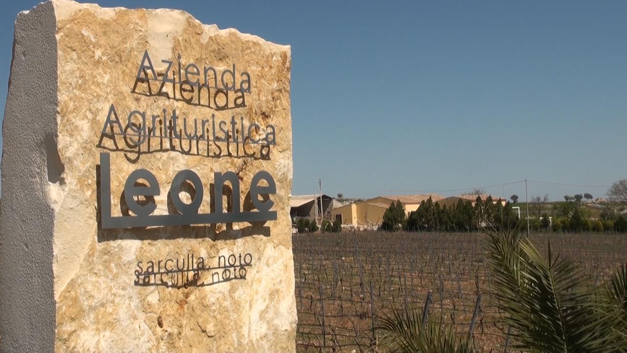 فيلا Testa dellʼAcquaفي Agriturismo Leone المظهر الخارجي الصورة