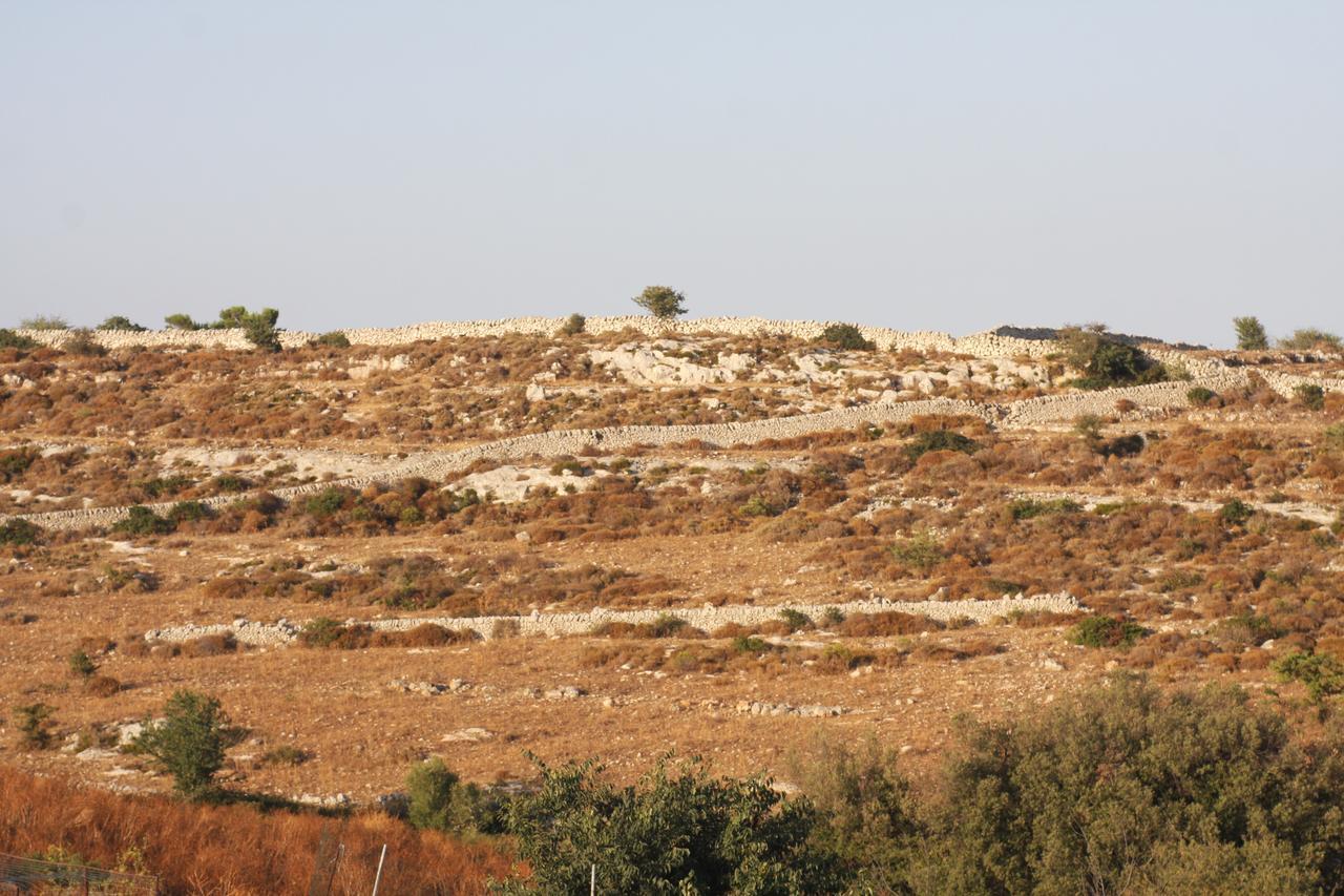 فيلا Testa dellʼAcquaفي Agriturismo Leone المظهر الخارجي الصورة